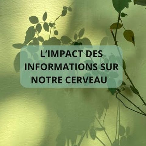 Réel Instagram du 9 juin 2026 — voir sur Instagram